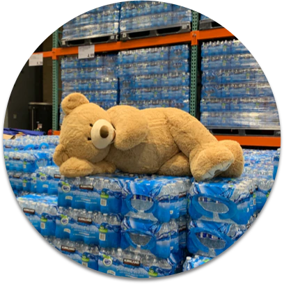 Giant costco teddy bear taking a nap on a pallet of bottled water